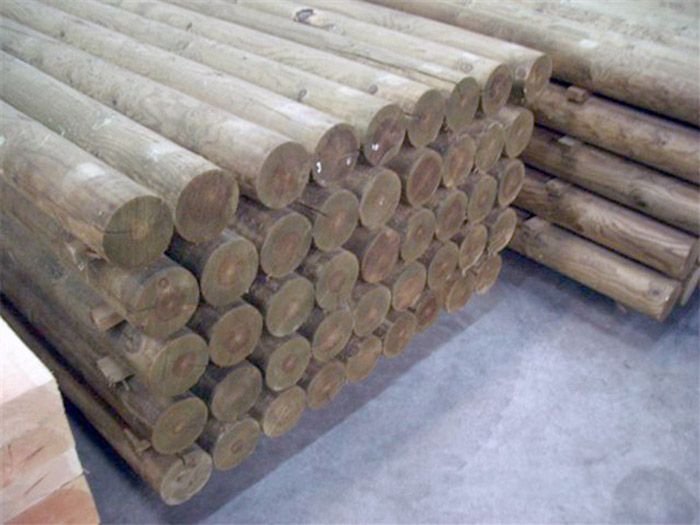 Maderas Biosca troncos de madera